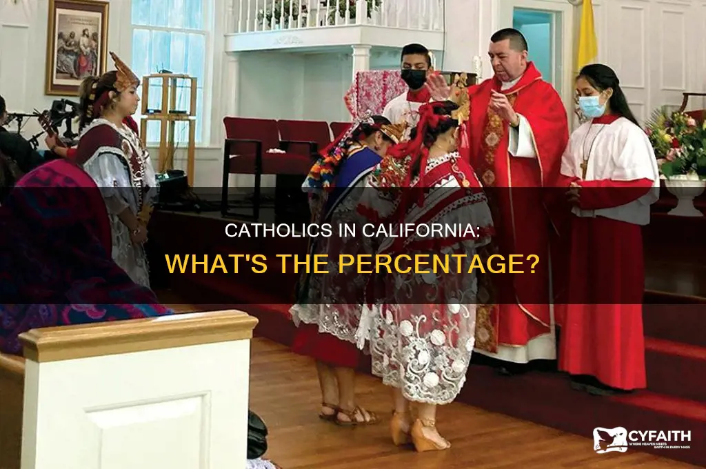 what percent of ca is catholic