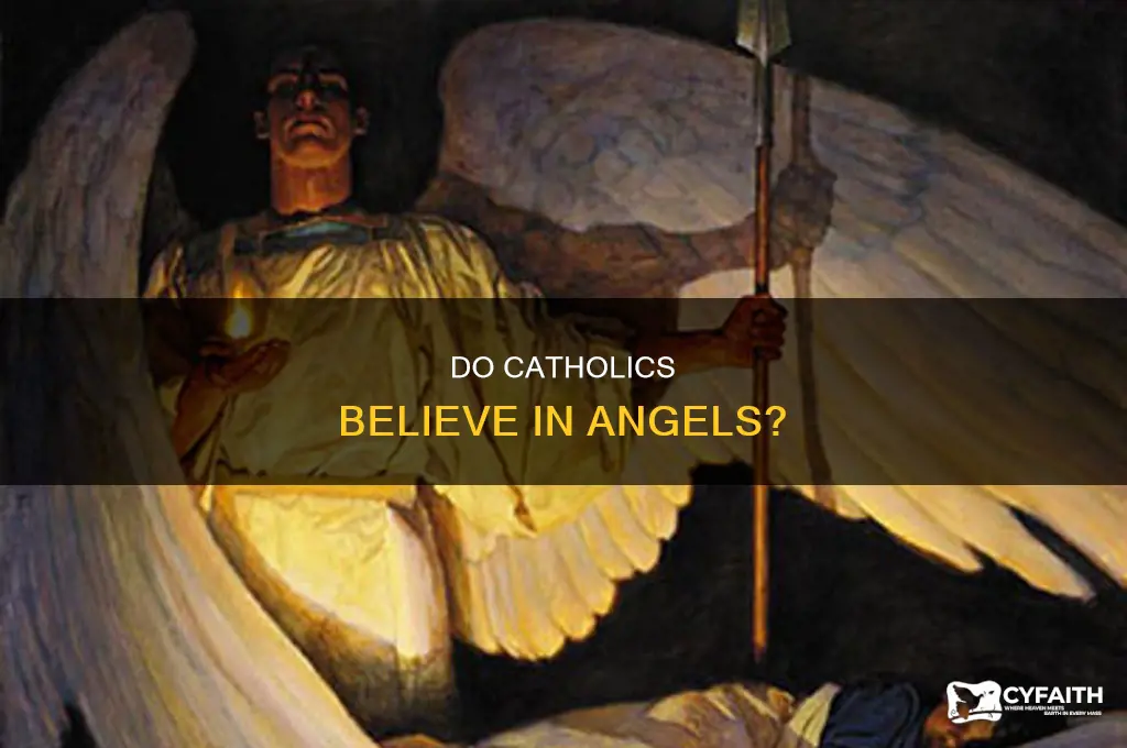 what percent of catholic belief in angels