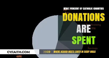 Charity Spending: Catholic Donations Allocation