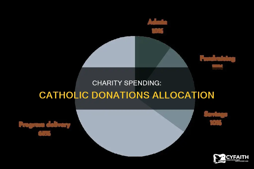 what percent of catholic charities donations are spent