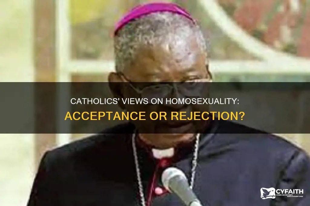 what percent of catholics accept homosexuality