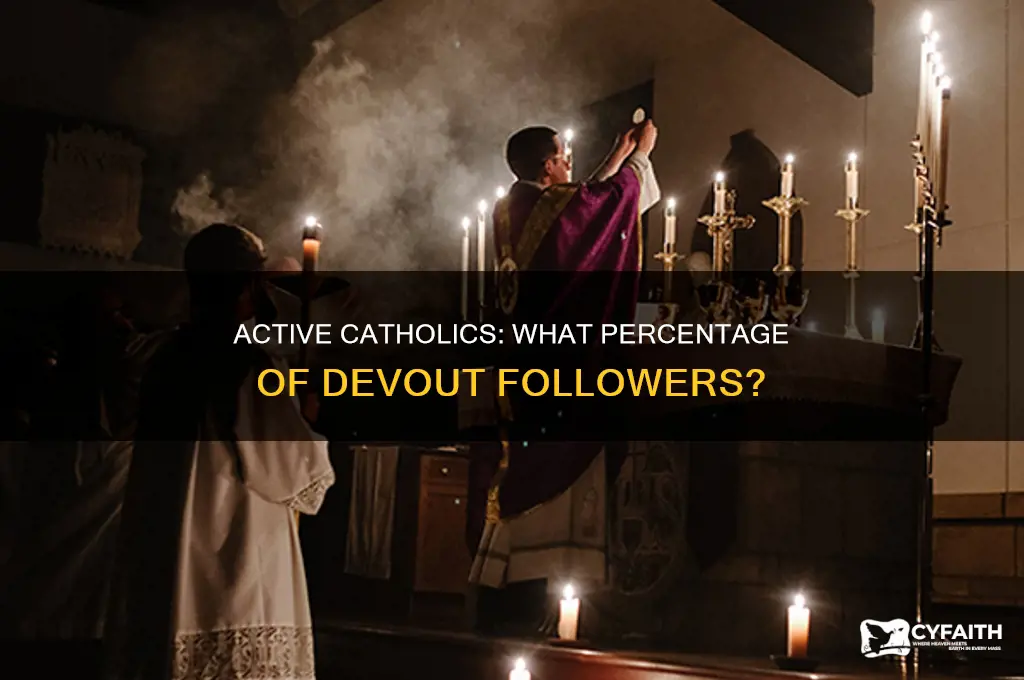 what percent of catholics are active