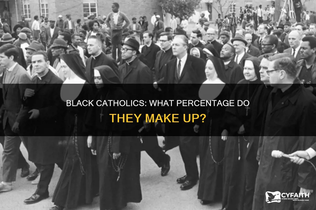 what percent of catholics are black