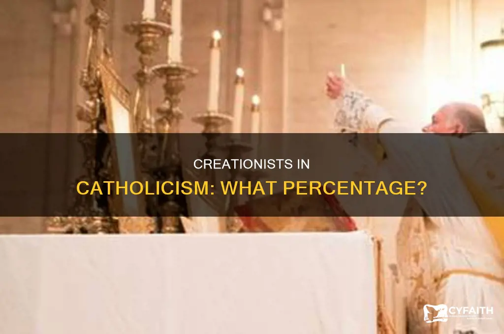 what percent of catholics are creationists