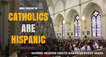 Hispanic Catholics: Understanding Their Population Percentage