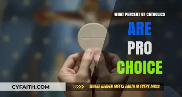 Catholics' Stance on Abortion: Exploring the Divide