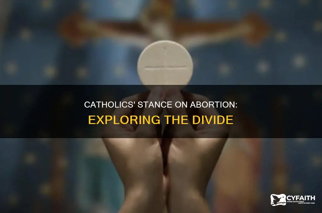 what percent of catholics are pro choice