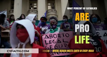 Catholics and Abortion: The Pro-Life Divide