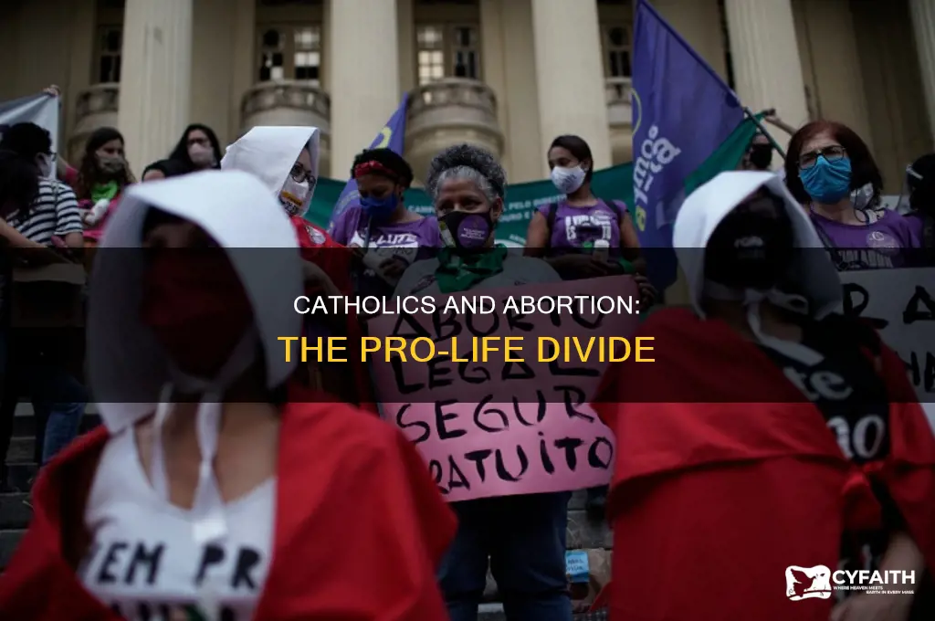 what percent of catholics are pro life