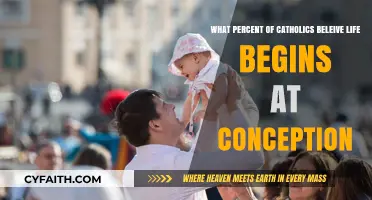 Do Catholics Believe Life Begins at Conception? Exploring the Percentage