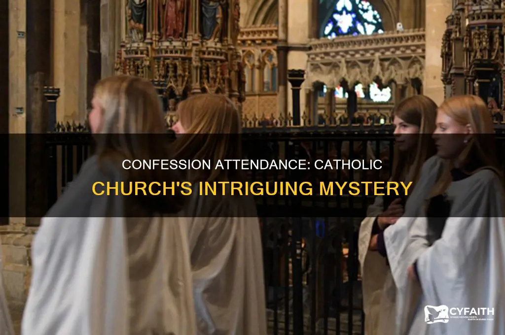 what percent of catholics go to confession