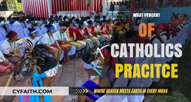 How Many Catholics Regularly Practice Their Faith Today?
