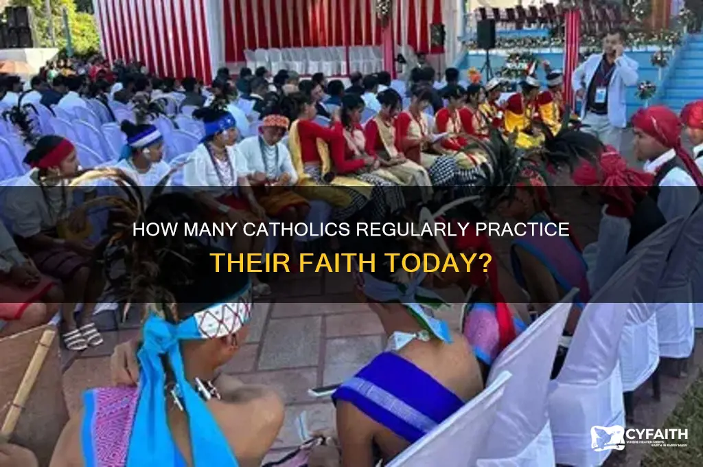 what percent of catholics pracitce