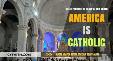 Exploring Catholicism's Dominance in Central and South America: Percentage Insights