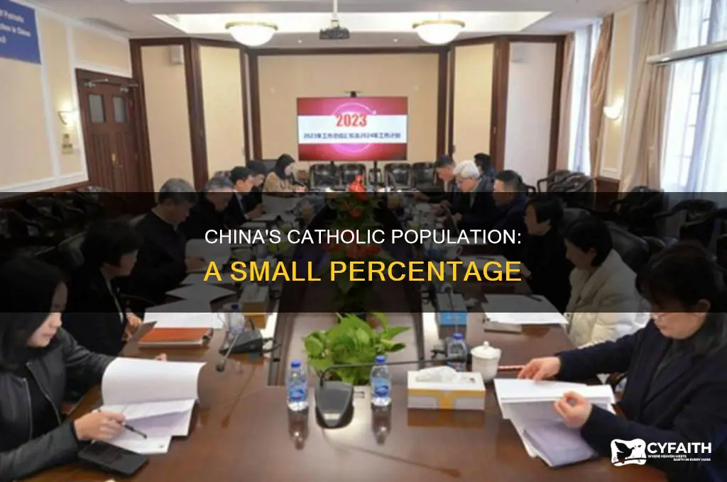 what percent of china is catholic