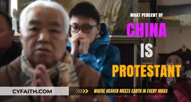Exploring China's Religious Landscape: The Protestant Population