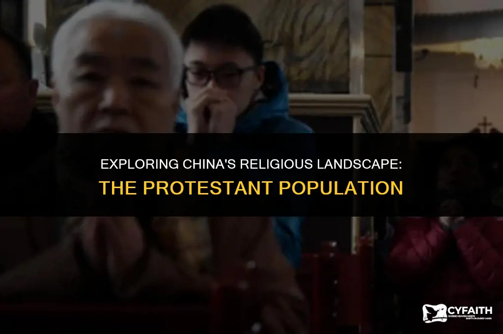 what percent of china is protestant