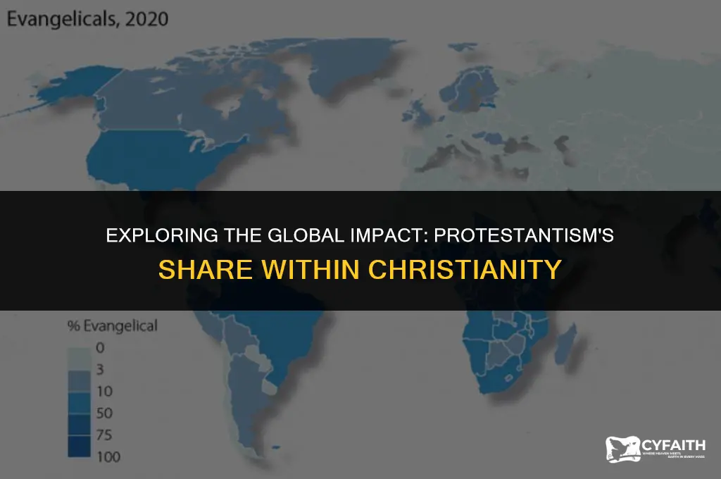 what percent of christianity is protestant
