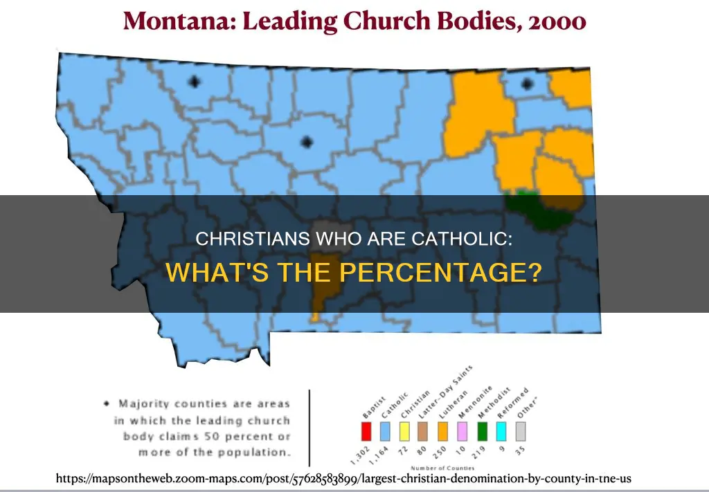 what percent of christians are catholic