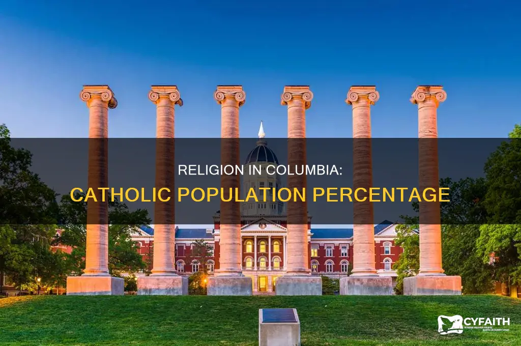 what percent of columbia south america is catholic