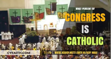 Catholics in Congress: A Significant Presence