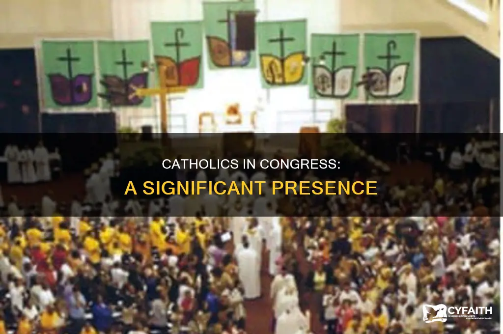 what percent of congress is catholic
