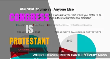 Protestant Representation in Congress: A Statistical Overview