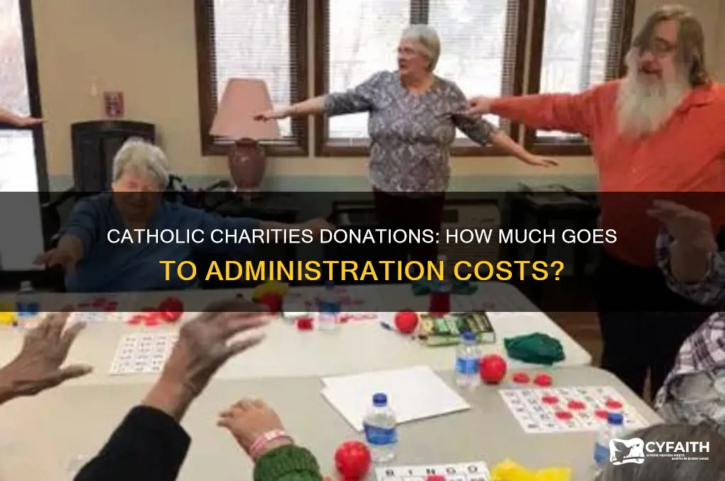 what percent of donations to catholic charities go to administration