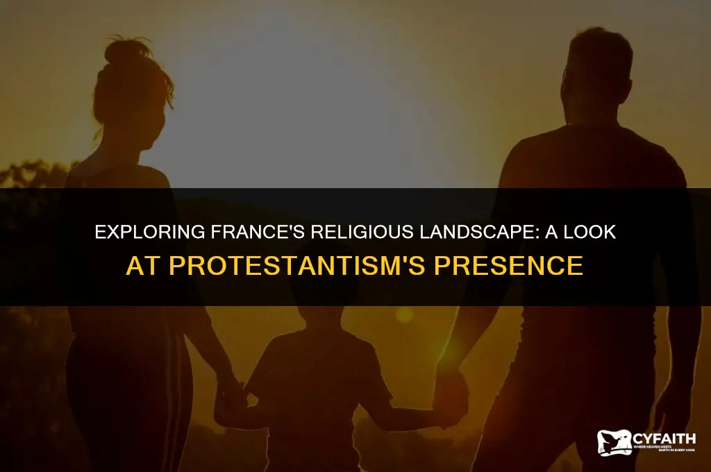 what percent of france is protestant