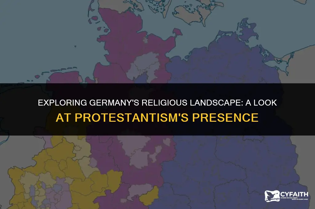 what percent of germany is protestant