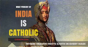 Catholicism in India: A Small Percentage