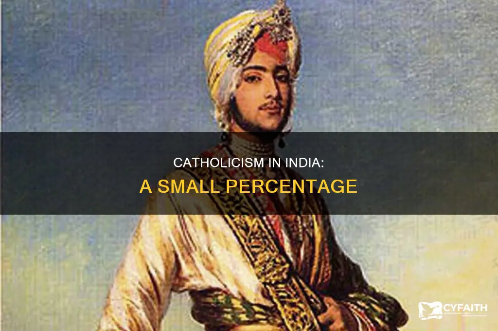 what percent of india is catholic