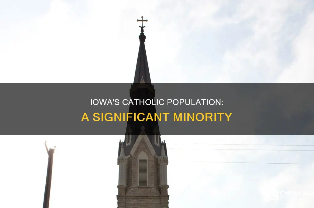 what percent of iowans are catholics