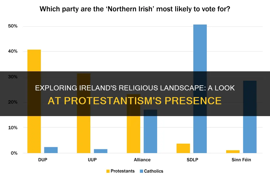 what percent of ireland is protestant