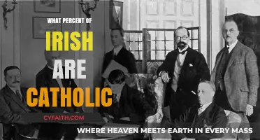 Religion in Ireland: Catholic Population Percentage
