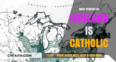 Ireland's Catholic Population: A Religious Majority
