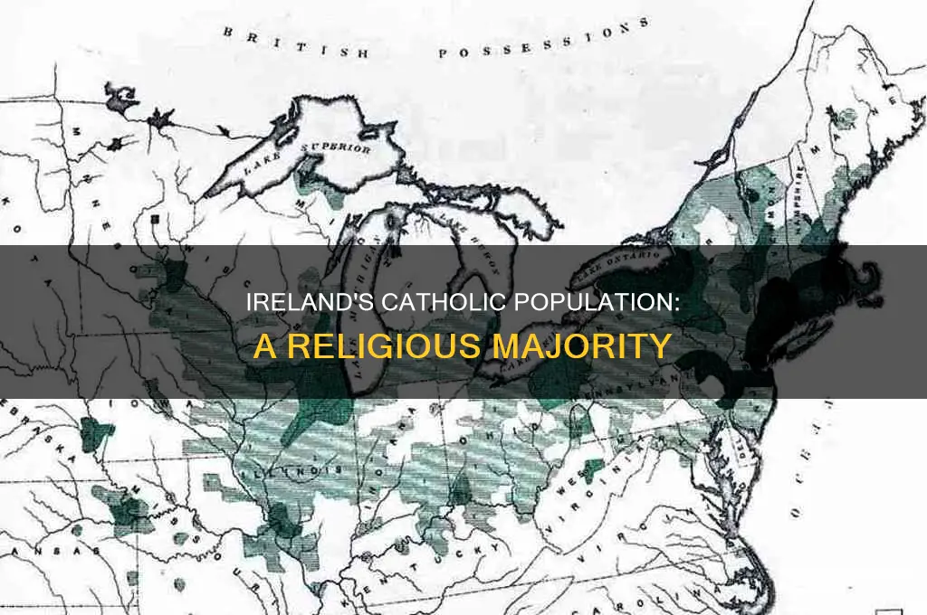 what percent of isreland is catholic