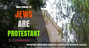 Exploring Religious Diversity: Understanding Jewish Protestantism