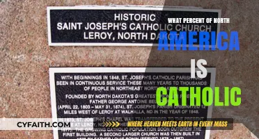 Catholic Population in North America: A Comprehensive Overview