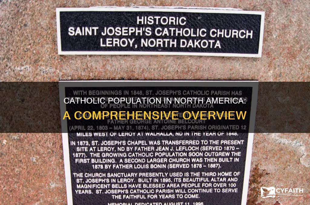 what percent of north america is catholic