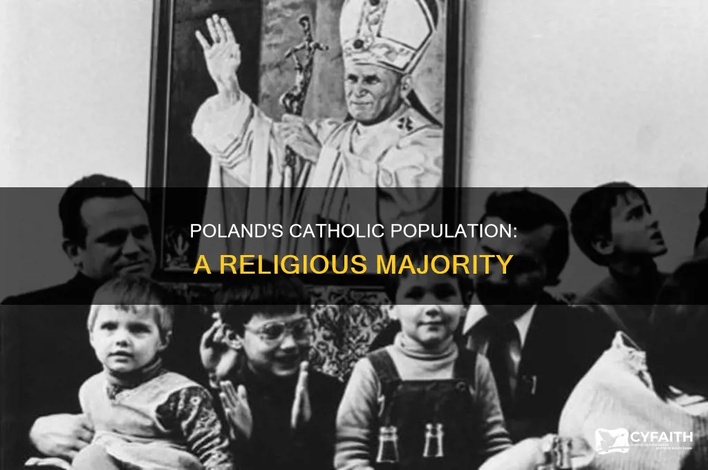 what percent of poland is catholic