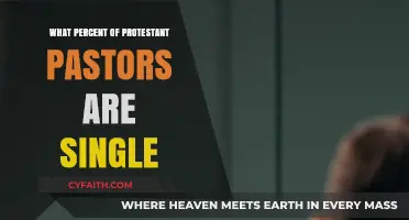 Exploring the Marital Status of Protestant Pastors: A Statistical Insight