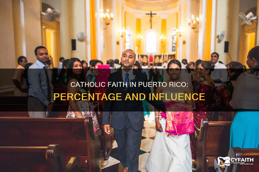 what percent of puerto rico is catholic