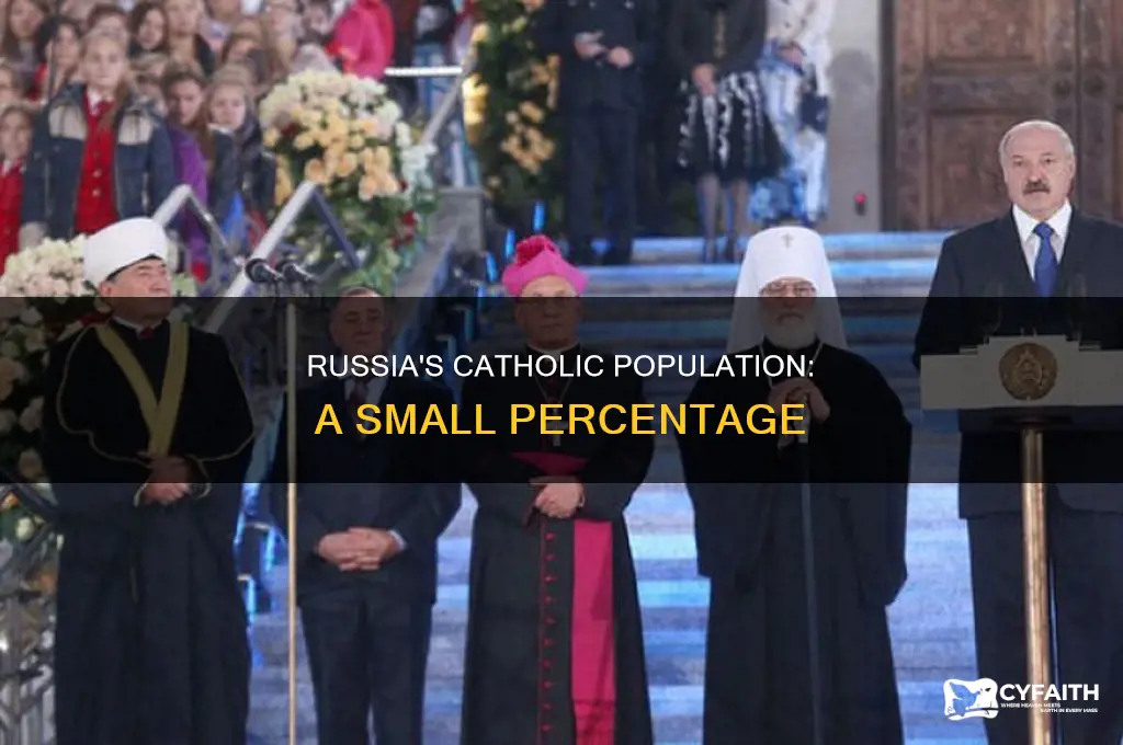 what percent of russia is catholic