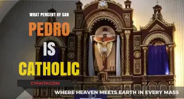 San Pedro's Catholic Population: A Religious Snapshot