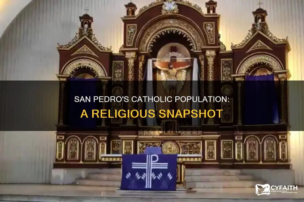 what percent of san pedro is catholic