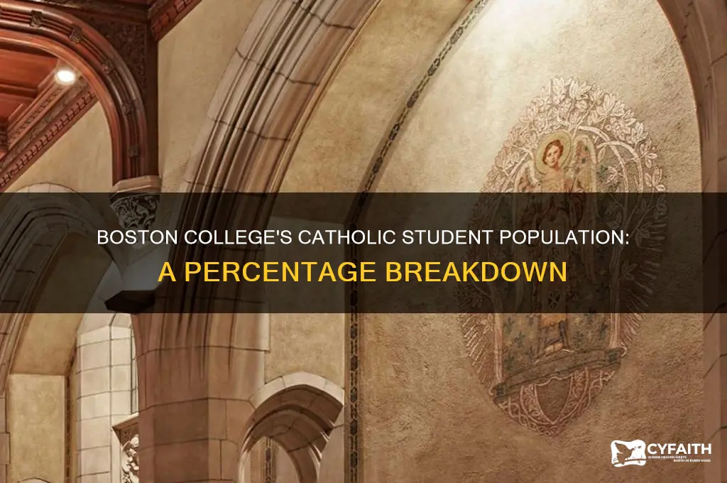 what percent of students at boston college are catholic