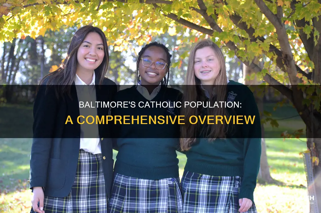 what percent of the baltimore is catholic
