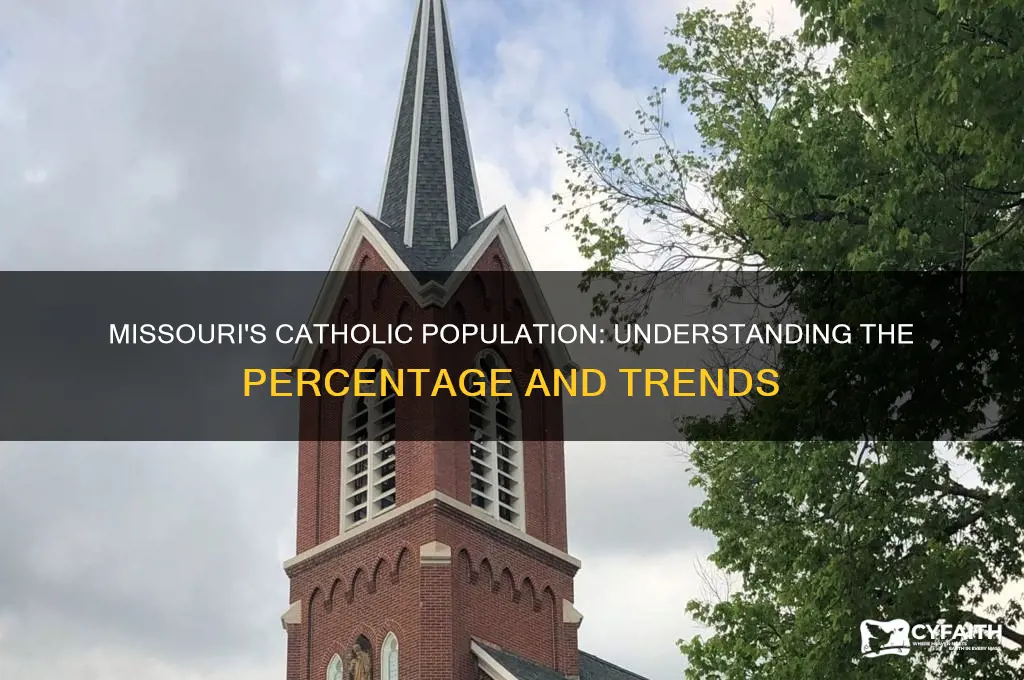 what percent of the population in missouri are catholic