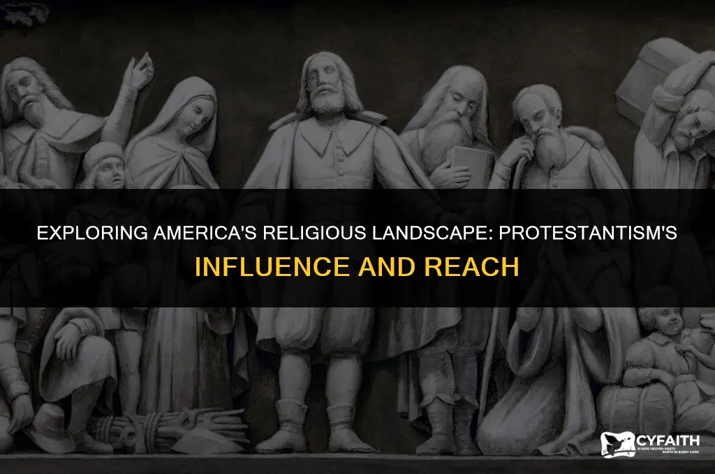 what percent of the us belongs to a protestant demonitation